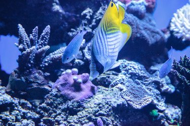 Similar image 13219276