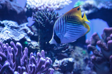 Similar image 13219280