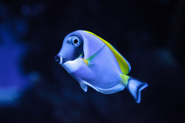 Similar image 13231941