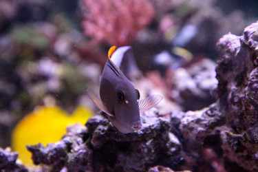 Similar image 13231943