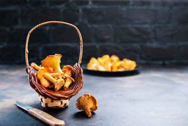 Similar image 13191952