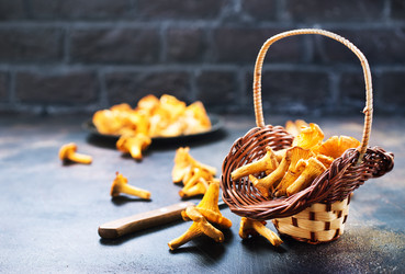 Similar image 13191955