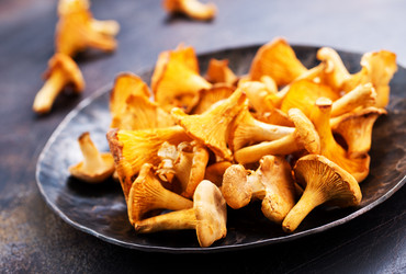 Similar image 13191959