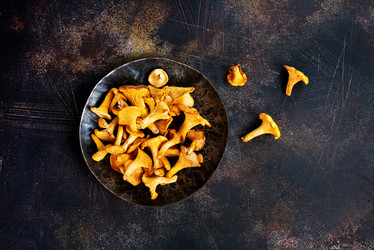 Similar image 13191961