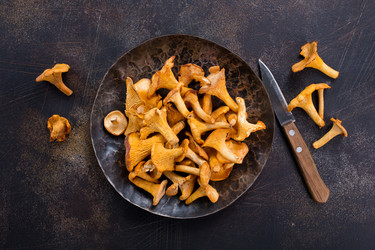 Similar image 13191751