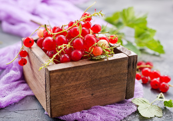 Similar image 13191818