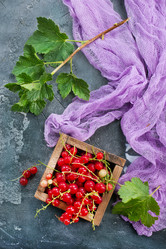 Similar image 13191843