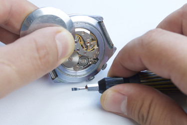 Similar image 13195846