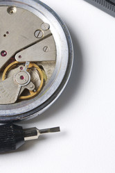 Similar image 13195713