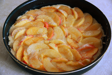 Similar image 13195595