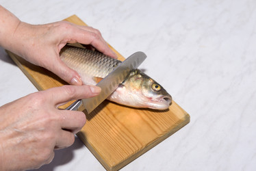 Similar image 13242274