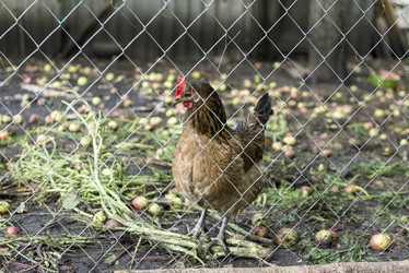 Similar image 13242275