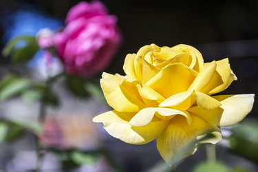 Similar image 13191323