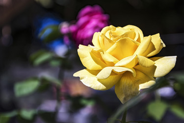 Similar image 13191324