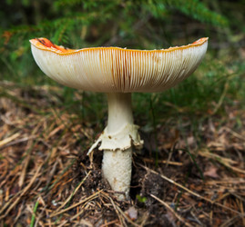 Similar image 13191310