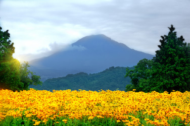 Similar image 13191457