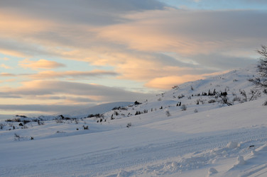 Similar image 13191440