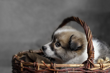 Similar image 13200654