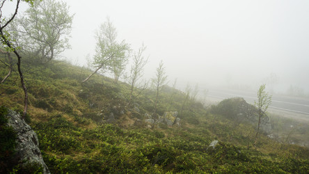 Similar image 13225525