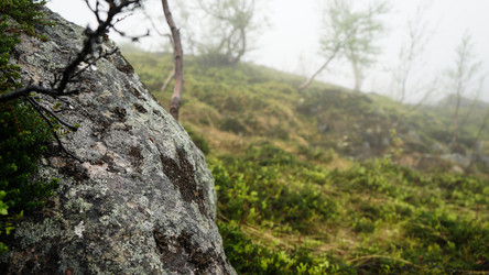 Similar image 13225526