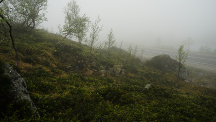 Similar image 13225527