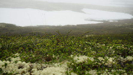 Similar image 13225530