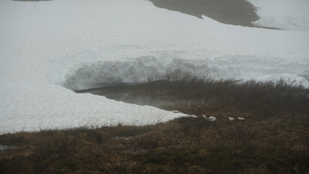 Similar image 13225531