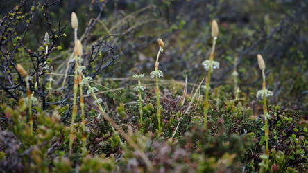 Similar image 13225554