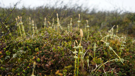 Similar image 13225555