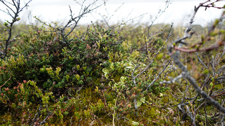 Similar image 13225582