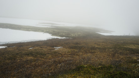 Similar image 13225584