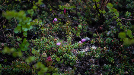 Similar image 13225586