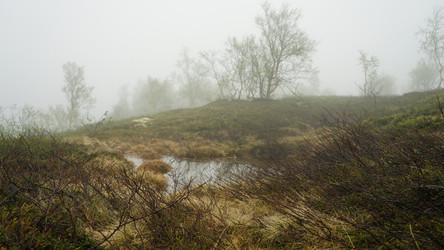 Similar image 13225654