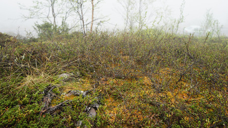 Similar image 13225655