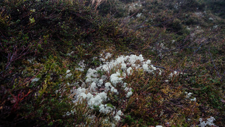 Similar image 13225656