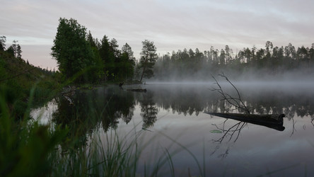 Similar image 13225639