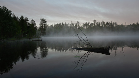 Similar image 13225640