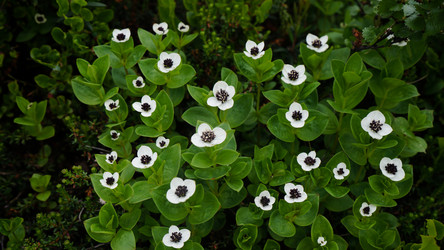 Similar image 13225674