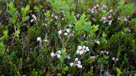 Similar image 13225675