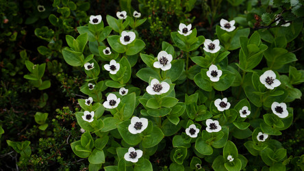 Similar image 13225692