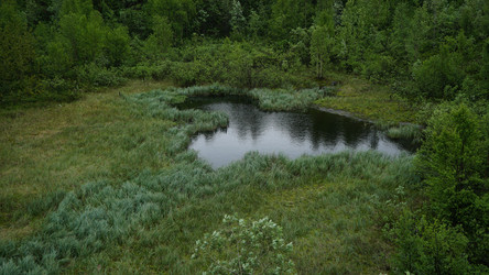 Similar image 13225693