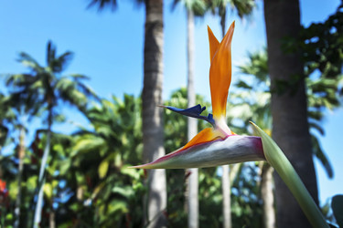 Similar image 13191326