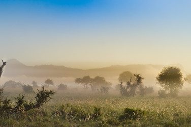 Similar image 13200207