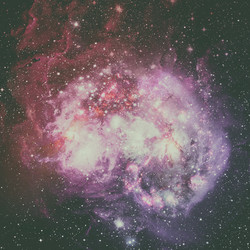 Similar image 13194509