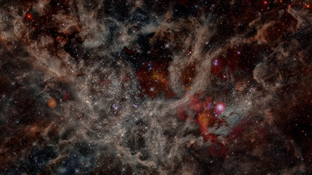 Similar image 13194855