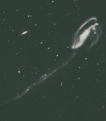 Similar image 13194856