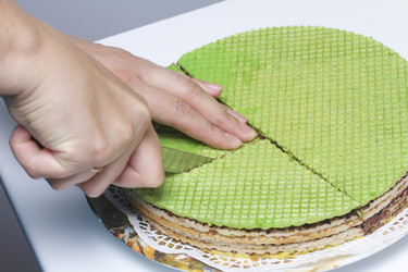 Similar image 13195725