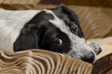 Similar image 13199204