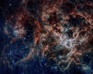 Similar image 13197805