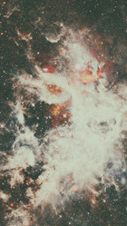 Similar image 13197974